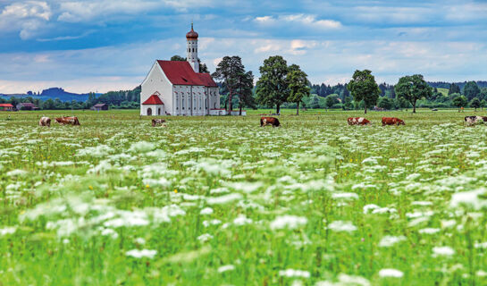 LANDGASTHOF DOLDEWIRT (B&B) Bernbeuren