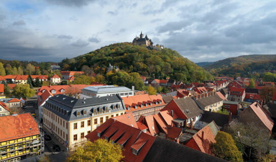 VITALHOTEL AM STADTPARK (B&B) Bad Harzburg