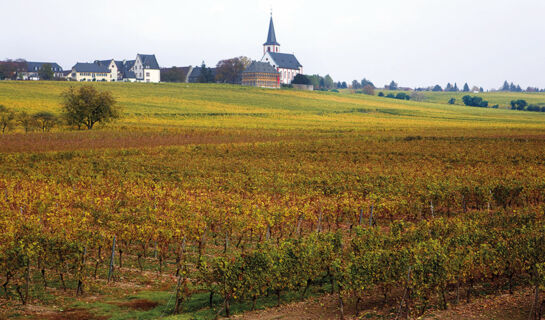 HOTEL WEINGUT DUCHMANN (B&B) Hochheim