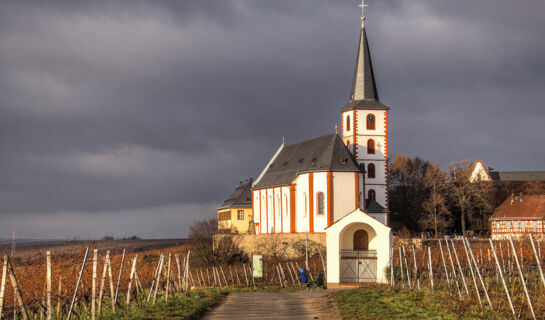 HOTEL WEINGUT DUCHMANN (B&B) Hochheim