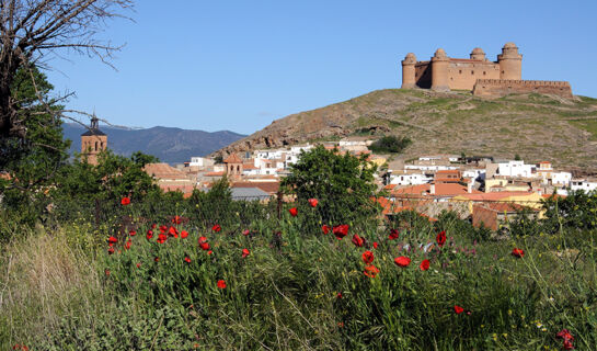 HOTEL HOSPEDERIA DEL ZENETE Calahorra