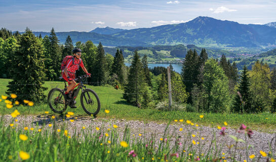 HIERLHOF (B&B) Immenstadt im Allgäu