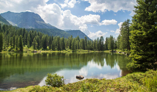 HOTEL ROSALPINA Soraga di Fassa (TN)