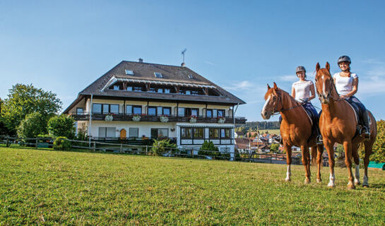 LANDGASTHOF PFERDEKOPPEL  (B&B) Besenfeld