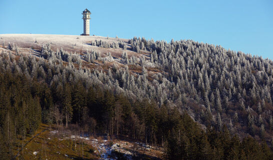 FERIENHOTEL SCHWARZWÄLDER HOF Feldberg-Altglashütten