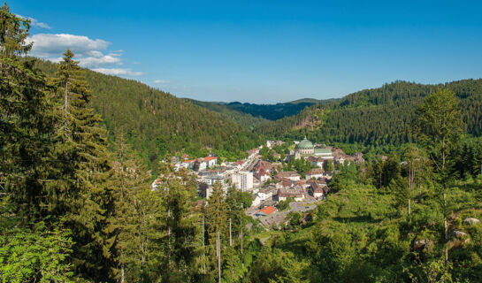 HOTEL ZUR FLÜH (B&B) Bad Säckingen