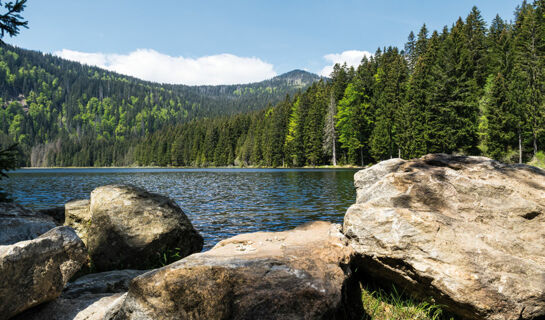 LANDGASTHOF ZUR ALTEN POST (B&B) Regen/March