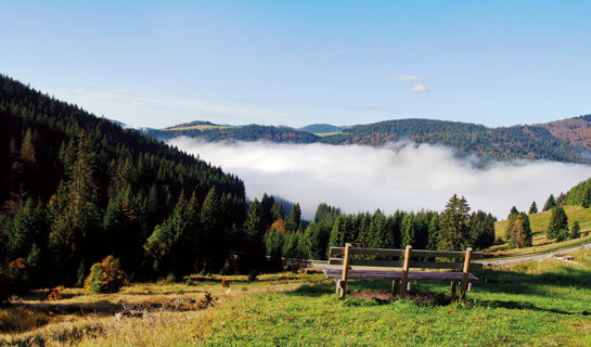 HOTEL WALDECK MIT RESTAURANT FLORIAN'S Feldberg-Altglashütten