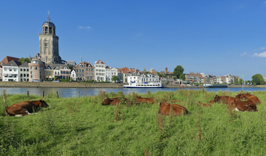 FLETCHER HOTEL-RESTAURANT HELLENDOORN Hellendoorn