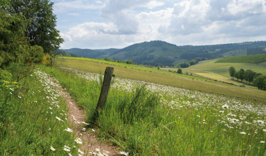 LANDGASTHOF HAUS ZUR SONNE Hallenberg