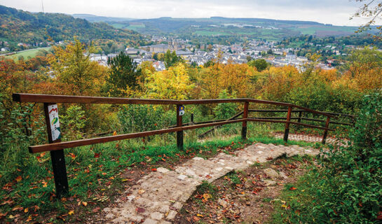 LANDGASTHOF RALINGER HOF Ralingen