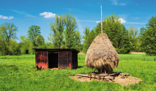 SEEHOTEL BURG Burg (Spreewald)