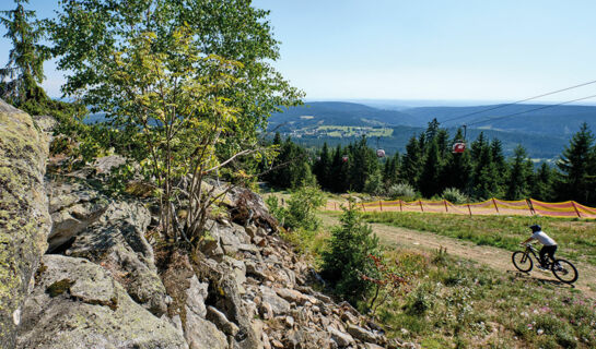 SOIBELMANNS HOTEL BAD ALEXANDERSBAD Bad Alexandersbad