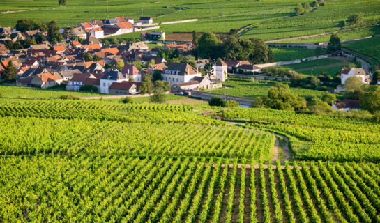 HOSTELLERIE BOURGUIGNONNE (B&B) Verdun-sur-le-Doubs