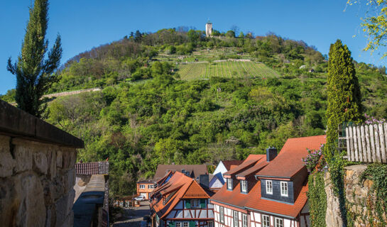 ACHAT HOTEL HEPPENHEIM (B&B) Heppenheim (Bergstraße)