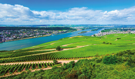 AKZENT WALDHOTEL RHEINGAU Geisenheim