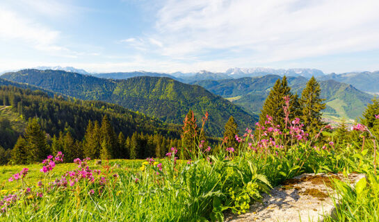 WANDER- & LANDHOTEL GABRIELE (B&B) Unterwössen