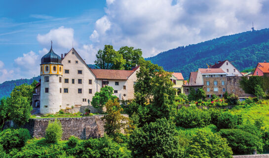 BOUTIQUEHOTEL DAS EDELWEISS Schoppernau