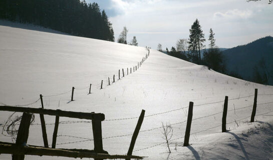 URLAUBS- UND WELLNESSHOTEL FRIEDERIKE Willingen (Upland)