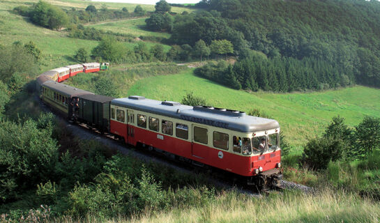 HOTEL UND LANDGASTHOF ZUM BOCKSHAHN Spessart