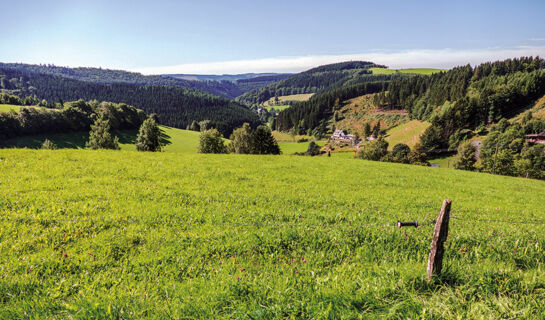 HOTEL KLEIN'S WIESE Bad Fredeburg