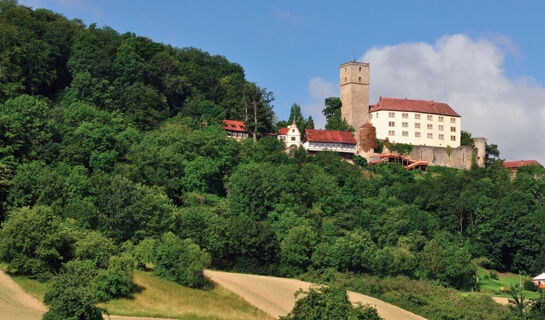 GASTHOF-PENSION ZUR TRAUBE Finkenbach