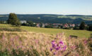 WERRAPARK RESORT HOTEL FRANKENBLICK Masserberg