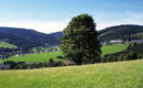 WALDHOTEL WILLINGEN Willingen (Upland)