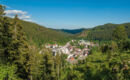 HOTEL ZUR FLÜH (B&B) Bad Säckingen