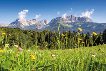 HOTEL-PENSION HEIKE Aurach bei Kitzbühel