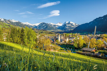 HOTEL WIESENEGG Aurach bei Kitzbühel