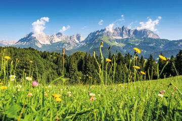 HOTEL WIESENEGG Aurach bei Kitzbühel