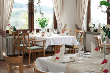 WALDHOTEL WILLINGEN Willingen (Upland)