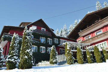 LANDIDYLL - HOTEL NUDELBACHER Feldkirchen (Öst)