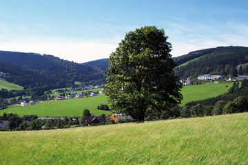 WALDHOTEL WILLINGEN Willingen (Upland)