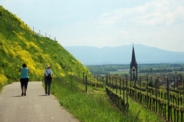 HOTEL WINZERSTUBE IHRINGEN Ihringen