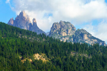 HOTEL ROSALPINA Soraga di Fassa (TN)