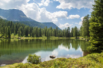 HOTEL ROSALPINA Soraga di Fassa (TN)