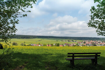 LANDGASTHOF PFERDEKOPPEL  (B&B) Besenfeld