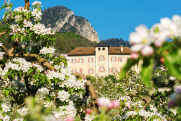 HOTEL STELLA DELLE ALPI Ronzone (TN)