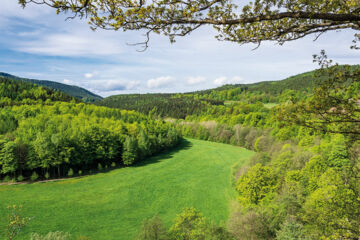 BERGHOTEL MELLENBACH Mellenbach-Glasbach