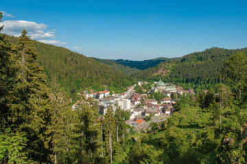 HOTEL-RESTAURANT BRAUEREI WALTER Waldshut-Tiengen