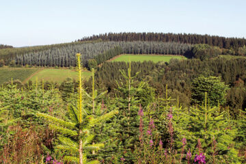 LANDHOTEL GRIMMEBLICK Winterberg