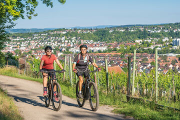 HOTEL-RESTAURANT ZUM TREUEN BARTEL Markgröningen