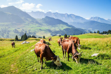 LA CROIX SAINT-MAURICE Le Grand-Bornand