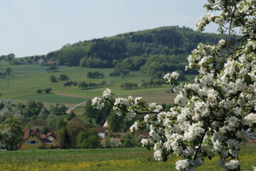 HOTEL SOCKENBACHER HOF Waldbrunn