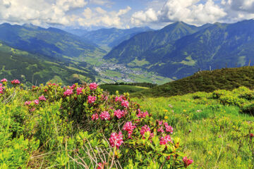 SMARTHOTEL (B&B) Dorfgastein