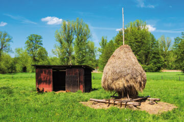 SEEHOTEL BURG Burg (Spreewald)