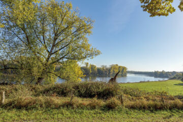 WELLINGS ROMANTIK HOTEL ZUR LINDE (B&B) Moers