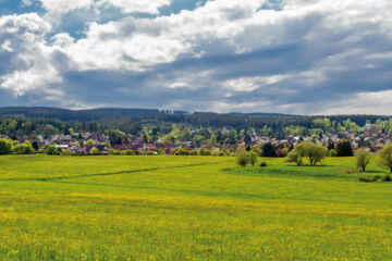 HOTEL & RESTAURANT LANDHAUS FALKENSTEIN Tambach